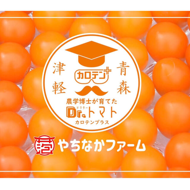 ミニトマト 3kg  【★みーまま★様専用】採れたて☘️産地直送いたします 食品/飲料/酒の食品(野菜)の商品写真