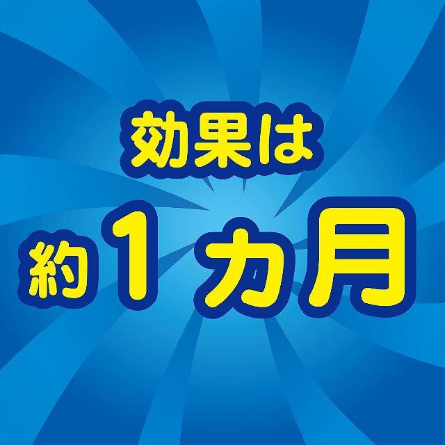 コバエがポットン 吊るタイプ コバエ取り 殺虫成分不使用 1箱2個入 2箱セット インテリア/住まい/日用品の日用品/生活雑貨/旅行(その他)の商品写真