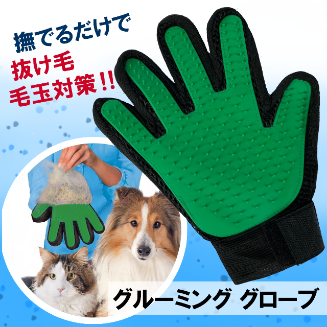 グリーン 犬・猫用品 グルーミンググローブ・ブラシ手袋 右手用 緑 送料無料 その他のペット用品(猫)の商品写真