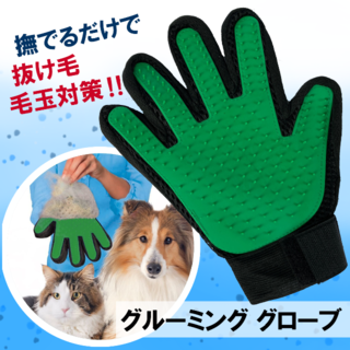 グリーン 犬・猫用品 グルーミンググローブ・ブラシ手袋 右手用 緑 送料無料(猫)