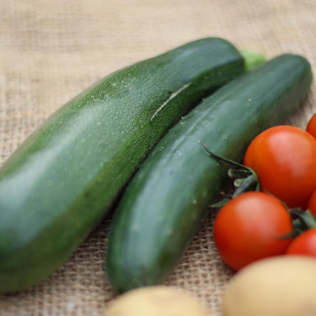 能登産　朝取れ　おまかせ野菜セット 食品/飲料/酒の食品(野菜)の商品写真