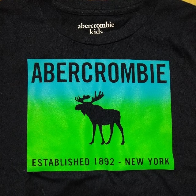 Abercrombie&Fitch(アバクロンビーアンドフィッチ)のアバクロンビー　Tシャツ 5/6 キッズ/ベビー/マタニティのキッズ服男の子用(90cm~)(Tシャツ/カットソー)の商品写真