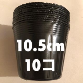 ポリポット 10.5cm プラ鉢 ビニールポット(プランター)