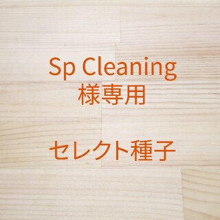 Sp Cleaning様専用　セレクト種子　12袋(野菜)