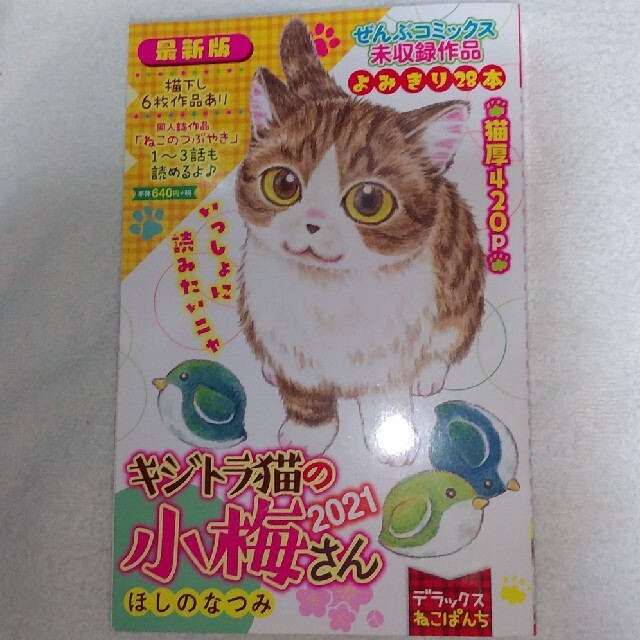 キジトラ猫の小梅さん21雑誌の通販 By れん S Shop ラクマ キジトラ猫の小梅さん21雑誌の通販 By れん S Shop ラクマ