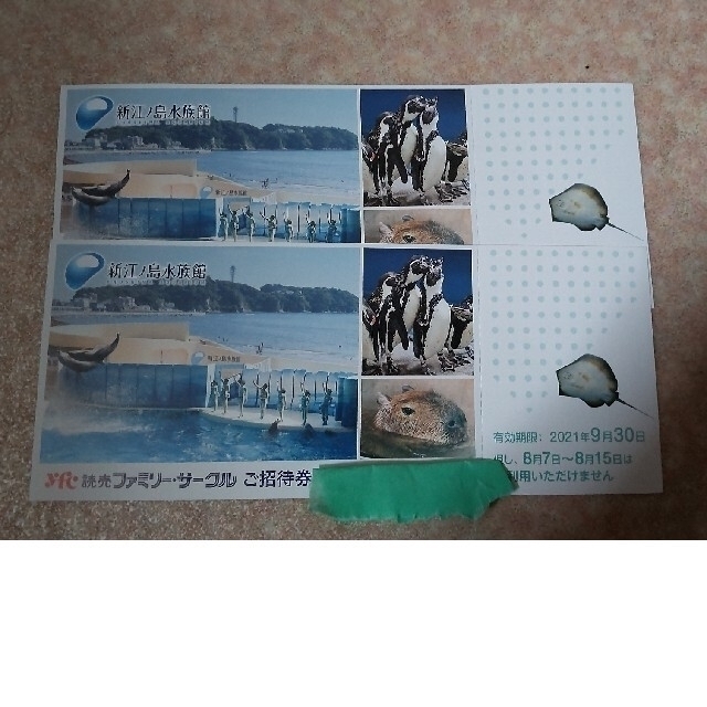 新江ノ島水族館 ご招待券 2枚セット ペアチケット 有効期日9月30日 えの水