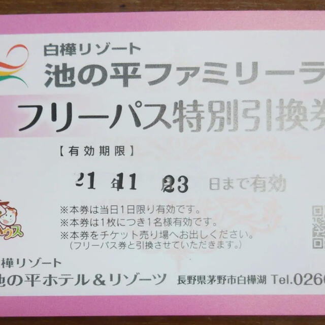 池の平ファミリーランド　フリーパス券　２枚セット