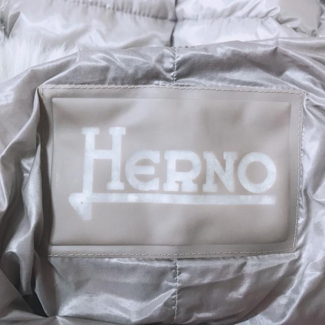 HERNO(ヘルノ)のHERNO(ヘルノ) ダウンコート サイズ46 L - レディースのジャケット/アウター(ダウンコート)の商品写真