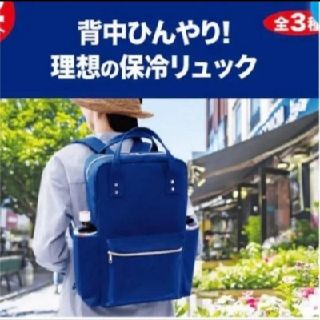 イトウエン(伊藤園)の保冷リュック ネイビー 麦茶 キャンペーン(リュック/バックパック)