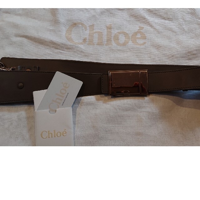Chloe(クロエ)の未使用 Chloeベイリー(ギャランティーカード・保存袋付き) レディースのバッグ(ハンドバッグ)の商品写真