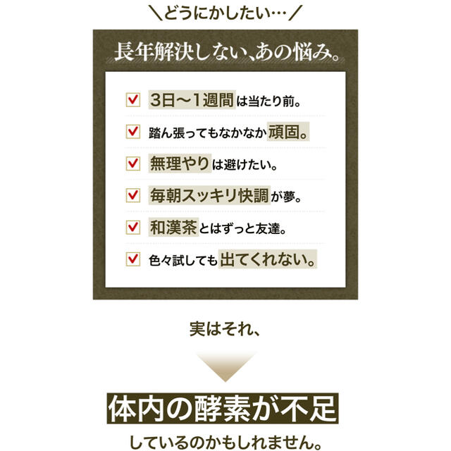 送料込み　新品　河内菌本舗　茶麹　62粒入り 食品/飲料/酒の健康食品(その他)の商品写真