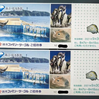 新江ノ島水族館　チケット　2枚セット(水族館)
