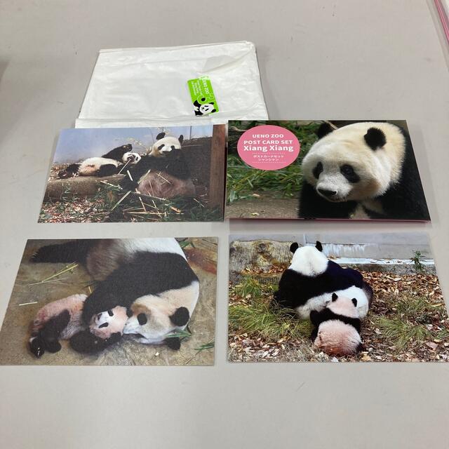 上野動物園 シャンシャンポストカードの通販 by ranran's shop｜ラクマ
