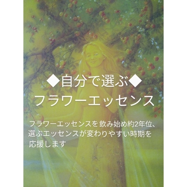 ◆7月特別価格◆自分で選ぶ◆バッチフラワーエッセンス《カウンセリングなし》