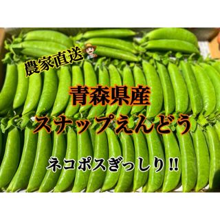 【採れたて】大好評！スナップえんどう！(野菜)