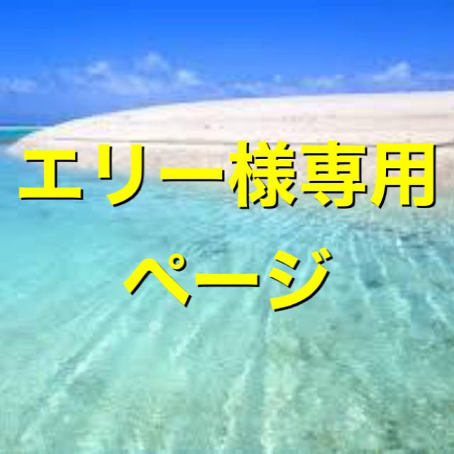 エリー様専用ページ www.expressinter.com