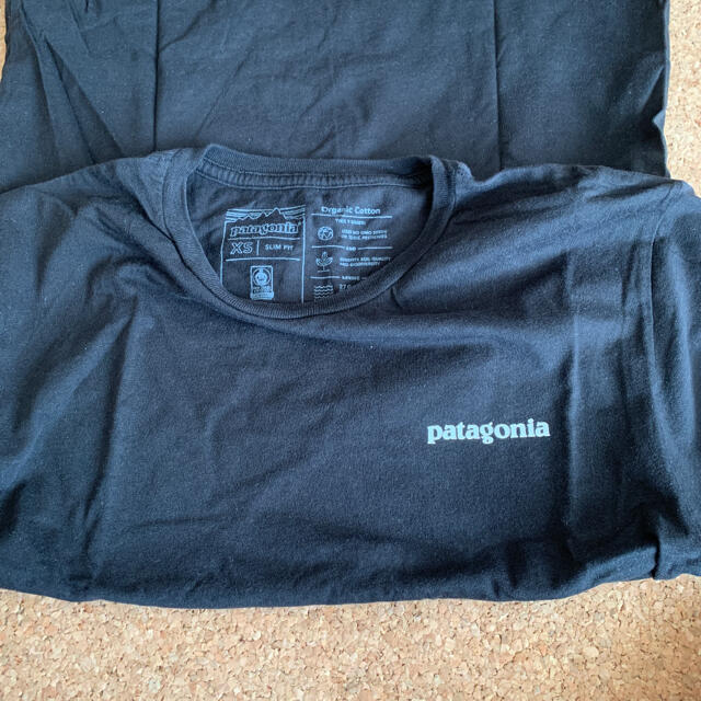 patagonia(パタゴニア)のpatagonia パタゴニア Tシャツ レディースのトップス(シャツ/ブラウス(半袖/袖なし))の商品写真