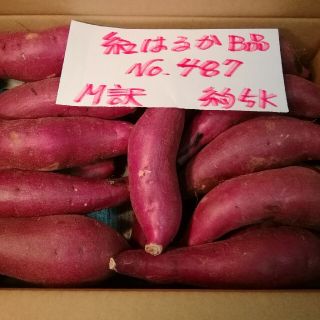 超お得!!　訳あり☆限定品☆ねっとり甘い貯蔵品紅はるかB品約５Kです。(野菜)