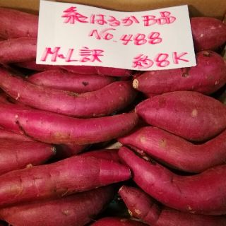 超お得!!　訳あり☆限定品☆ねっとり甘い貯蔵品紅はるかB品約８Kです。(野菜)