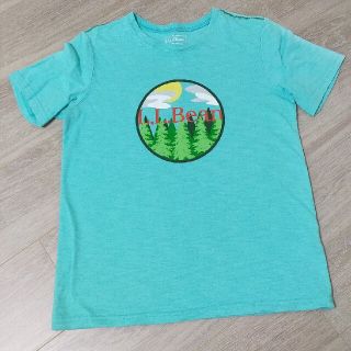 エルエルビーン(L.L.Bean)の【みゆ2993様専用】L.L.Bean（10歳〜12歳）グリーン(Tシャツ/カットソー)