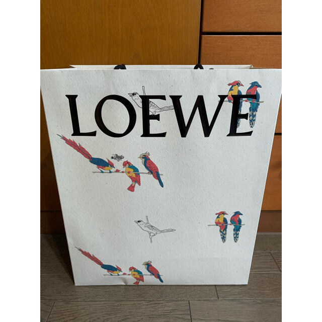 LOEWE(ロエベ)のロエベ　ショッパー　カタログ レディースのバッグ(ショップ袋)の商品写真