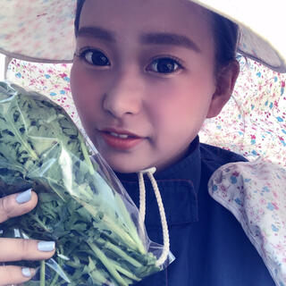 【綾善farm】お野菜セットM 10品80サイズ(野菜)