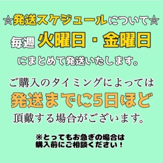 L 至福のもっちりドライナムワバナナ 国産 無添加 砂糖不使用 ドライフルーツ 食品/飲料/酒の食品(フルーツ)の商品写真