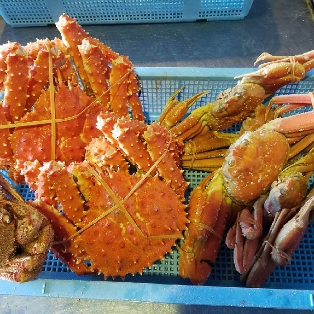 純正最安 赤字覚悟限定品早い者勝ちウニ入り10日発送余り物魚介類セット最低5種類セット 純正品特価 Dprd Sulutprov Go Id