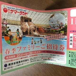 サマーランド　株主優待券　7/16まで(遊園地/テーマパーク)