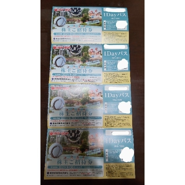 SALE/70%OFF】 東京都競馬 株主優待券 東京サマーランド 4枚 unki.fi