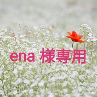 ザセム(the saem)のena 様専用(コンシーラー)