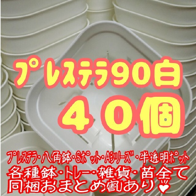 【スリット鉢】プレステラ90白40個 多肉植物 プラ鉢 ハンドメイドのフラワー/ガーデン(プランター)の商品写真