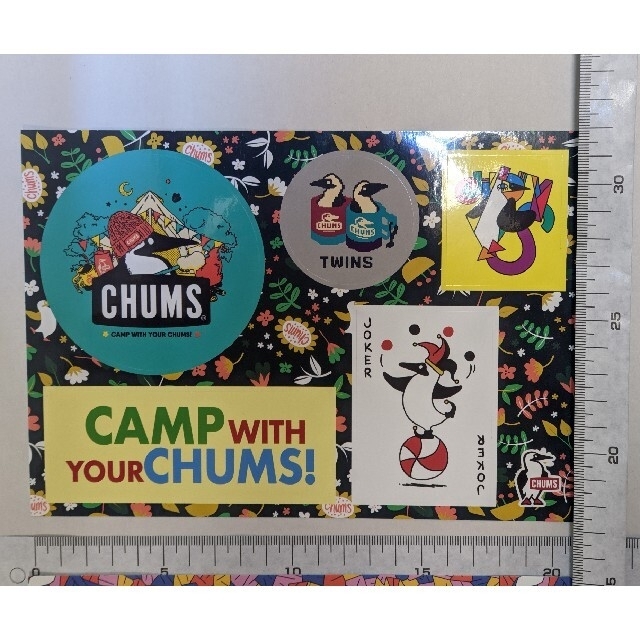 CHUMS(チャムス)のチャムス　CHUMS　ステッカー　２枚セット スポーツ/アウトドアのアウトドア(その他)の商品写真