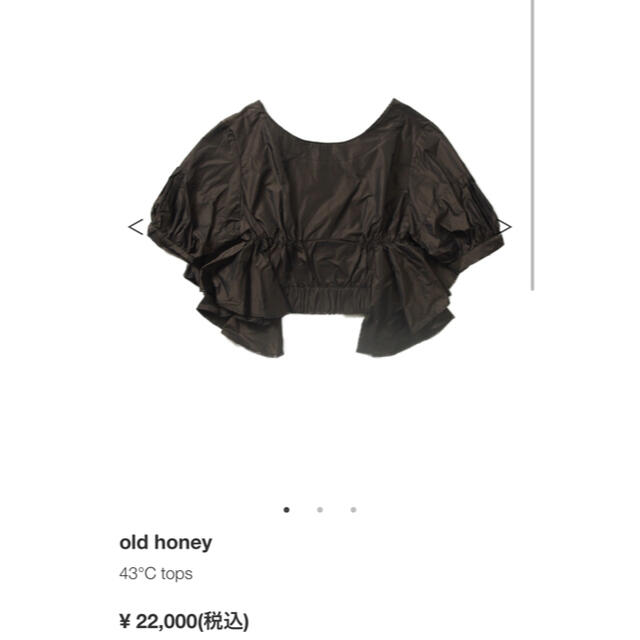 WALL(ウォール)のold honey トップス ブラウン レディースのトップス(シャツ/ブラウス(半袖/袖なし))の商品写真