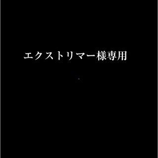 エクストリマー様専用(その他)