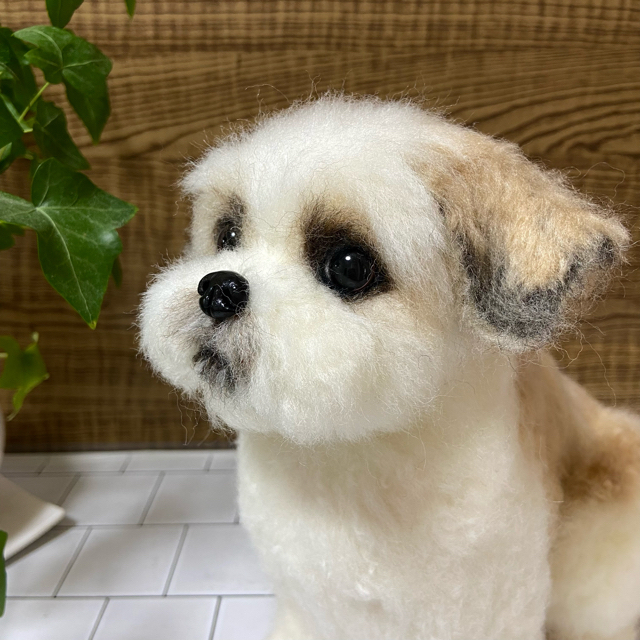 ぬいぐるみ羊毛フェルト　犬　シーズー×マルチーズ