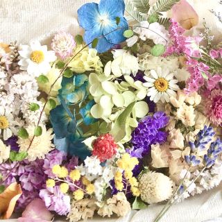 ドライフラワー花材セット❇︎No.204⁑スターチス❇︎アナベル(ドライフラワー)