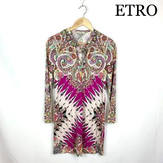 エトロ(ETRO)のETRO  ペイズリー レトロ ワンピース(ひざ丈ワンピース)