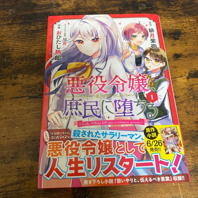 幻冬舎(ゲントウシャ)の悪役令嬢、庶民に堕ちる １ エンタメ/ホビーの漫画(青年漫画)の商品写真