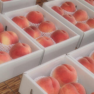 山梨の甘い桃　大玉を2キロの箱に6個詰めて発送　限定数箱　お買い得(フルーツ)