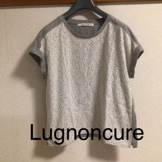 テチチ(Techichi)のLugnoncure techichi トップス　グレー×ホワイト　レース　M(シャツ/ブラウス(半袖/袖なし))