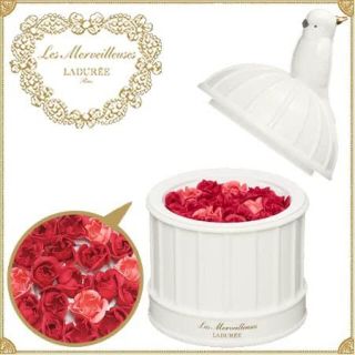 レメルヴェイユーズラデュレ(Les Merveilleuses LADUREE)の1点限り 未使用 6THアニバーサリー チーク オウム LADUREE(チーク)