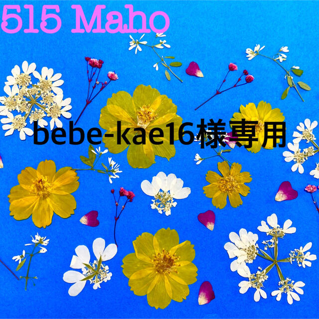 bebe-kae16様専用♡ ハンドメイドの素材/材料(各種パーツ)の商品写真