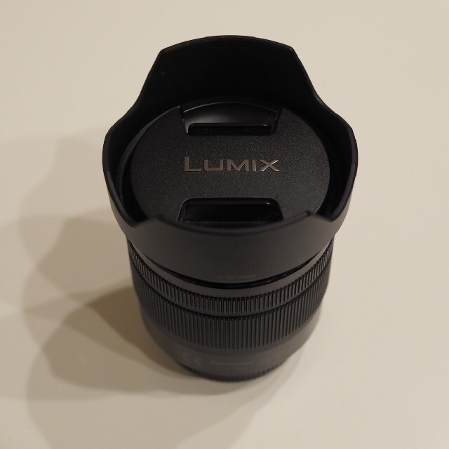 LUMIX G VARIO 12-60mm / F3.5-5.6