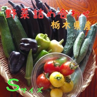 野菜詰め合わせBOX【Ｓ】(本日の受付終了)(野菜)