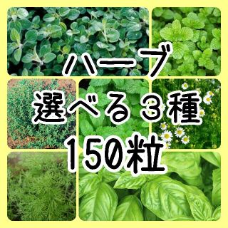 【ハーブの種】選べる3種 150粒 種子(野菜)