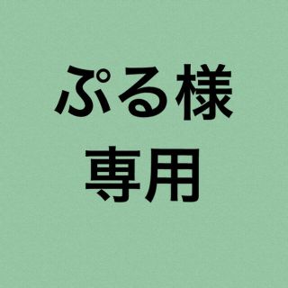 プル様専用(その他)