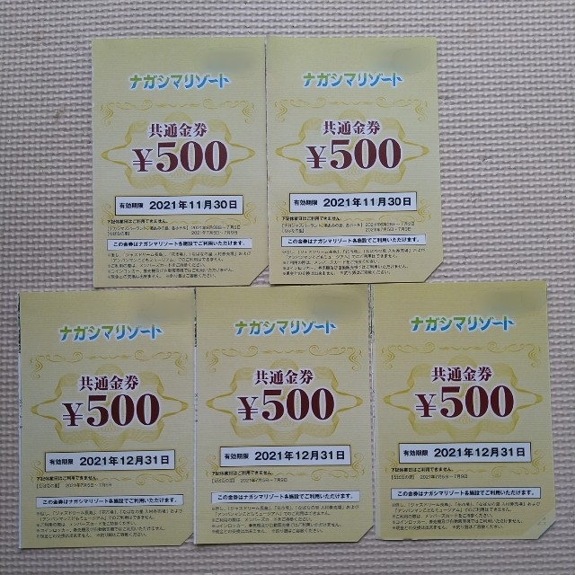 ナガシマリゾート 500円オフ クーポン 5枚 チケットの施設利用券(遊園地/テーマパーク)の商品写真