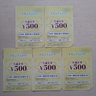 ナガシマリゾート 500円オフ クーポン 5枚(遊園地/テーマパーク)