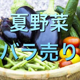 夏野菜　バラ売り(野菜)